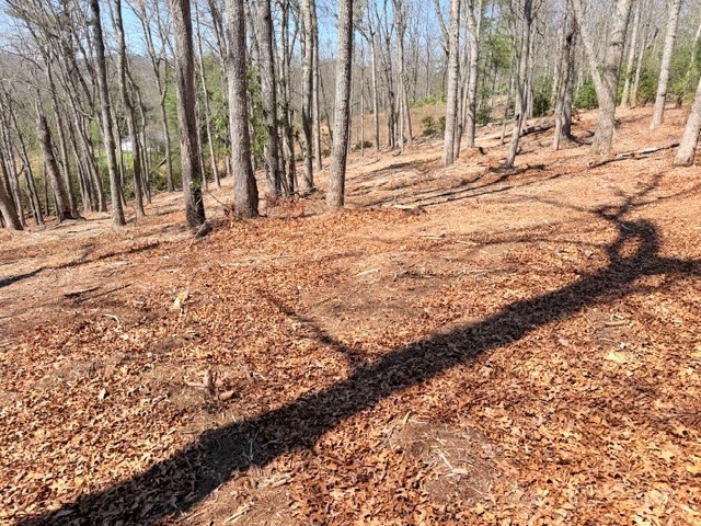 Lot 66 Autumn Fern Trail Property Photo 6