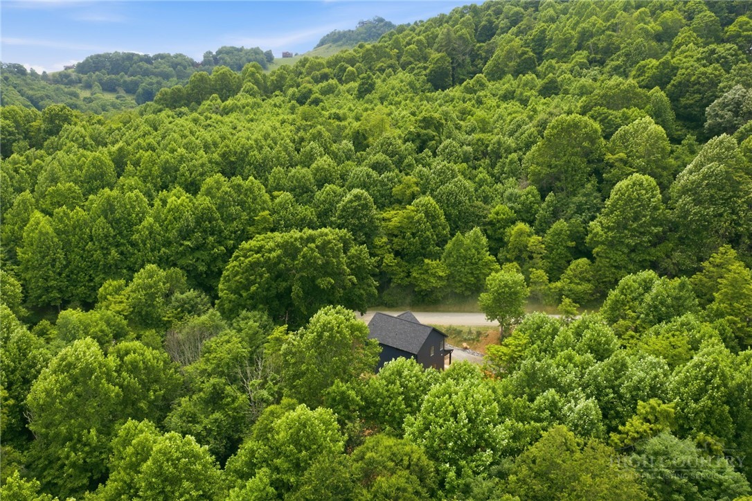250 Great Sky Drive Property Photo 28