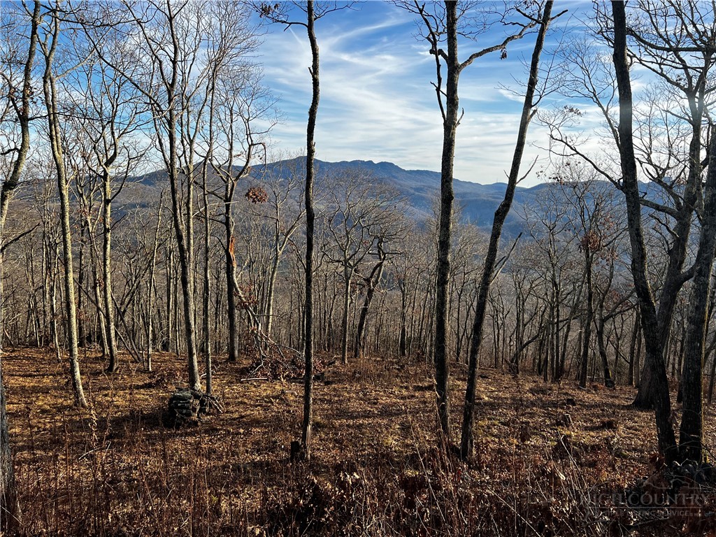 Lot 3 Chappell Farm Road Property Photo 13