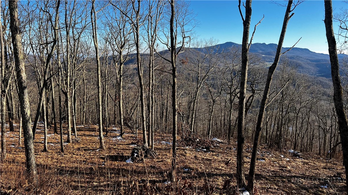 Lot 3 Chappell Farm Road Property Photo 15