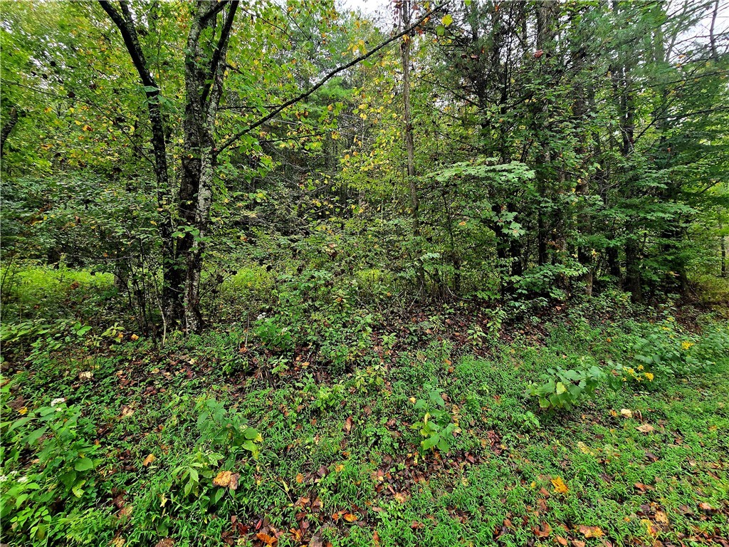 Lot 6 N. Old Nc Hwy 16 Property Photo 3