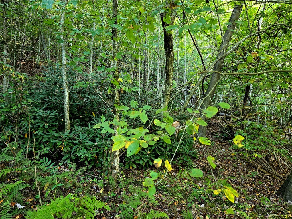 Lot 6 N. Old Nc Hwy 16 Property Photo 5