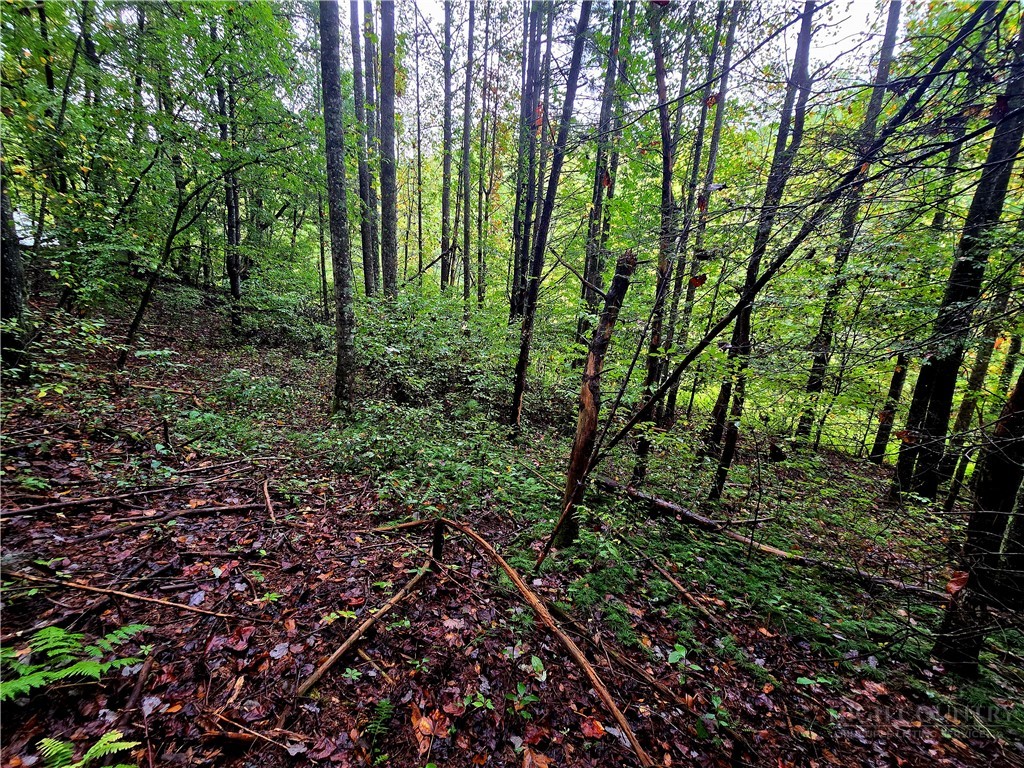Lot 6 N. Old Nc Hwy 16 Property Photo 7