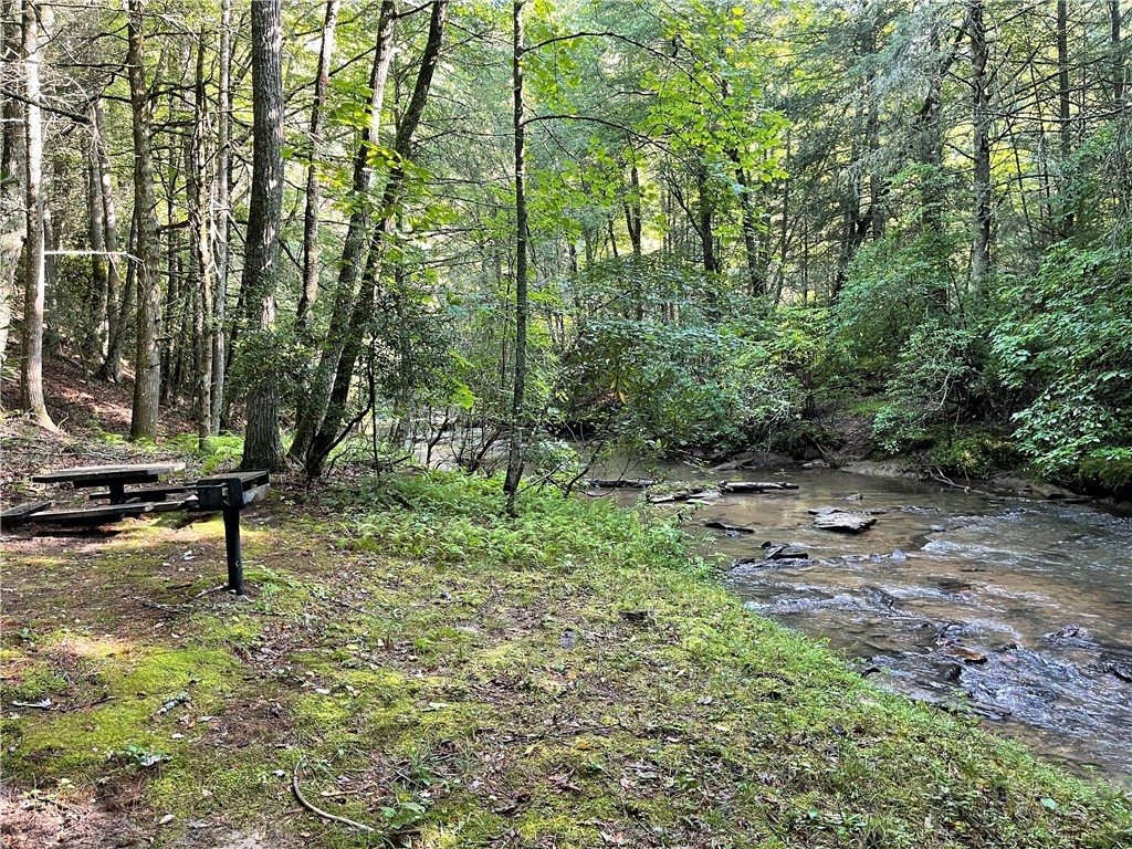 TBD (13 & 14) Timberwilde Drive Property Photo 1