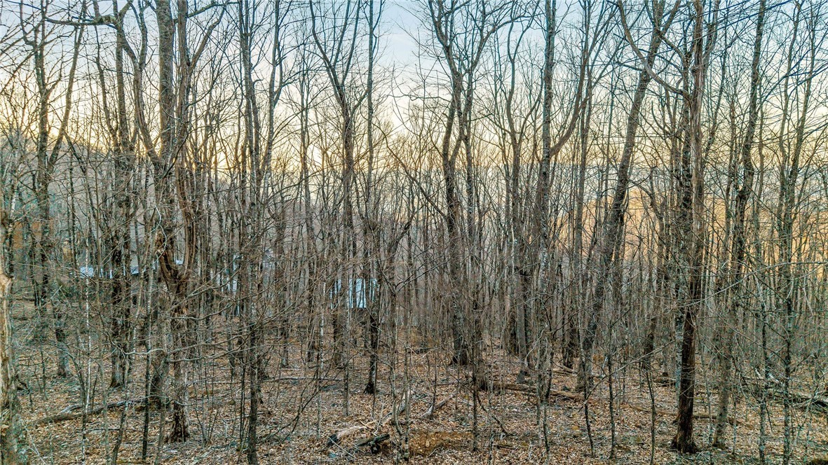 Lot 30 Crown Maple Lane Property Photo 2