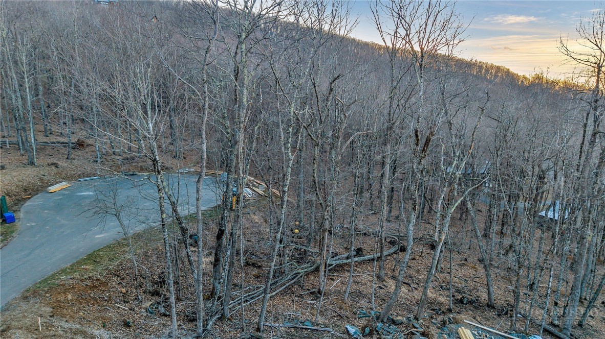 Lot 30 Crown Maple Lane Property Photo 15