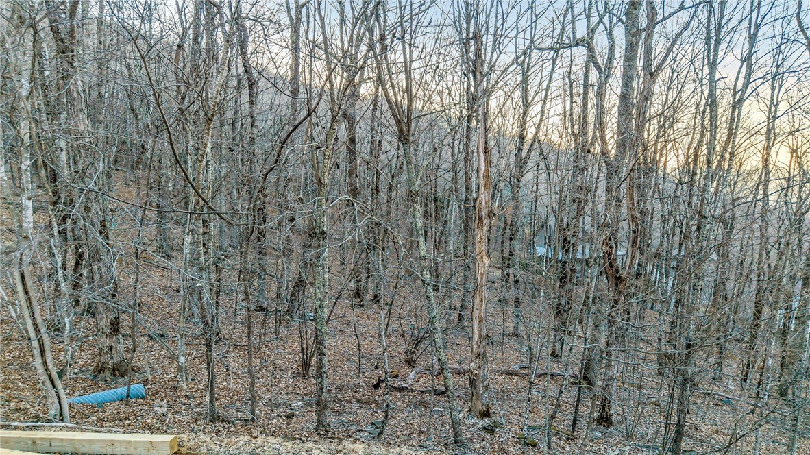 Lot 30 Crown Maple Lane Property Photo 19