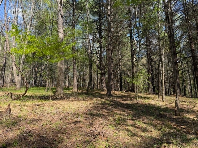 Tbd (0.96 Acre) Crestview Drive West Property Photo 1