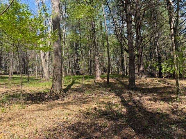 Tbd (0.96 Acre) Crestview Drive West Property Photo 2