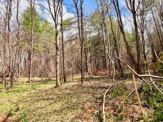 Tbd (0.96 Acre) Crestview Drive West Property Photo 3