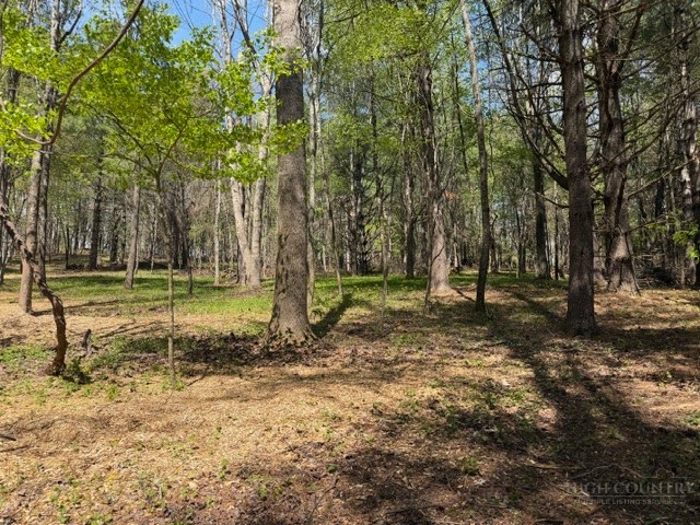 Tbd (0.96 Acre) Crestview Drive West Property Photo 4