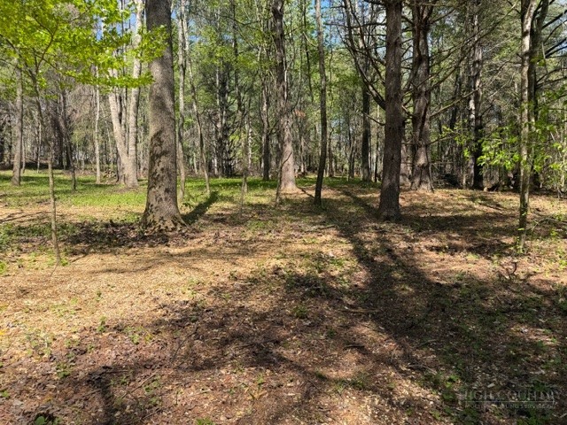 Tbd (0.96 Acre) Crestview Drive West Property Photo 5
