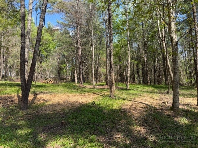 Tbd (0.96 Acre) Crestview Drive West Property Photo 6