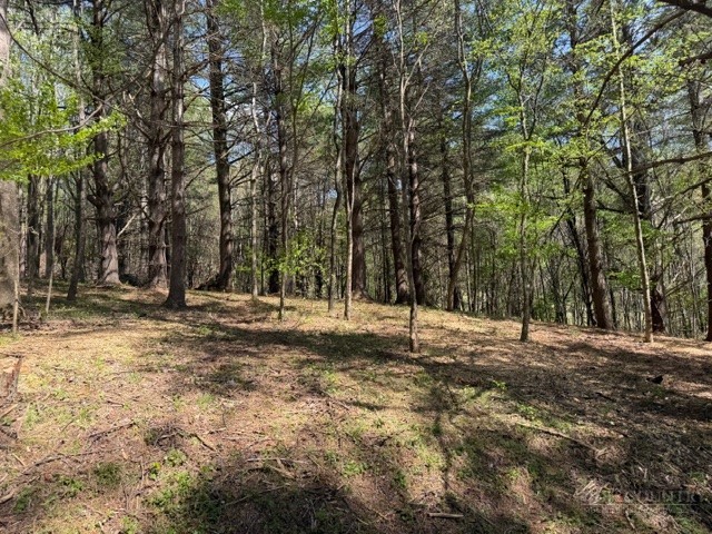 Tbd (0.96 Acre) Crestview Drive West Property Photo 7