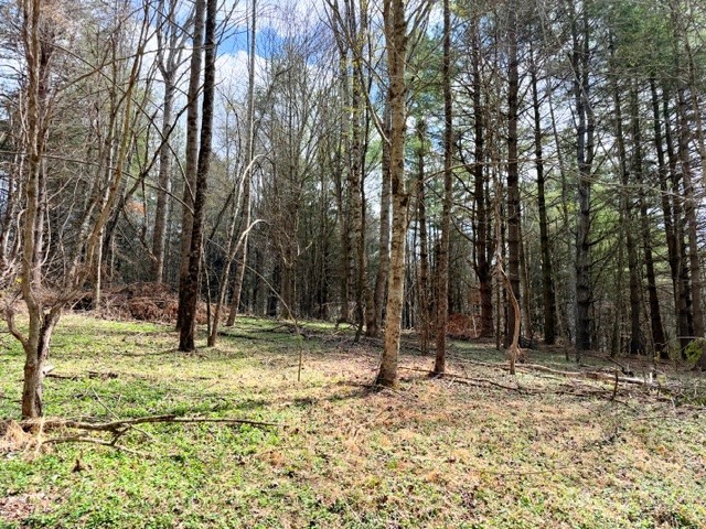 Tbd (0.96 Acre) Crestview Drive West Property Photo 8