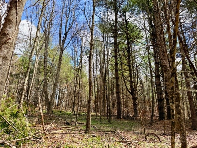 Tbd (0.96 Acre) Crestview Drive West Property Photo 9