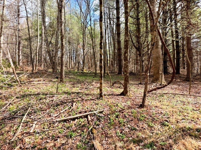 Tbd (0.96 Acre) Crestview Drive West Property Photo 10