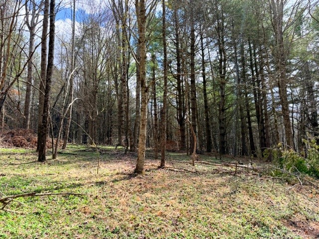 Tbd (0.96 Acre) Crestview Drive West Property Photo 11