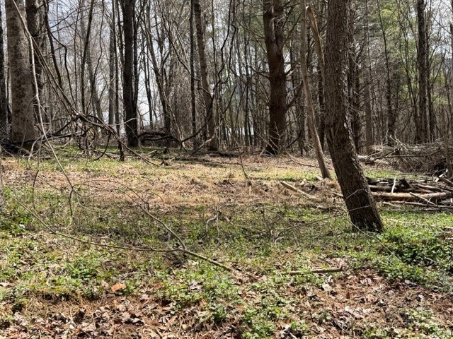 Tbd (0.96 Acre) Crestview Drive West Property Photo 12
