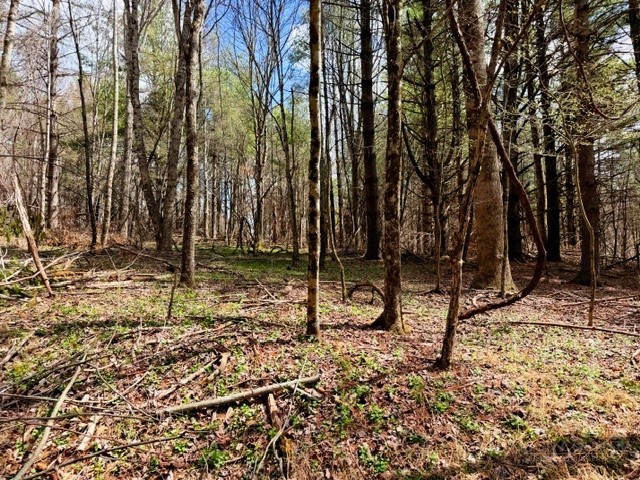 Tbd (0.96 Acre) Crestview Drive West Property Photo 13