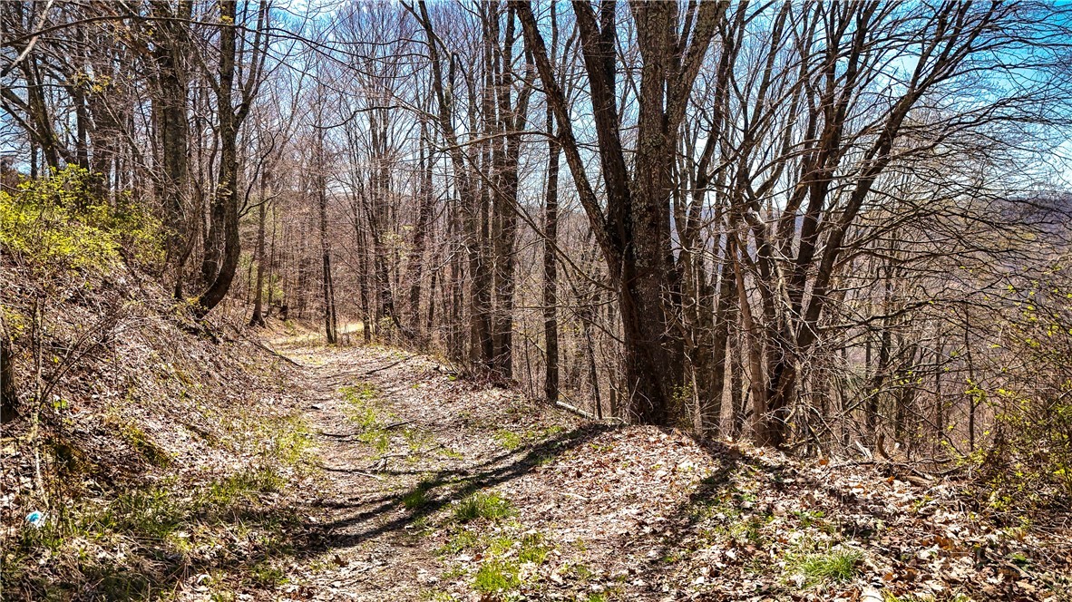 7277 Beech Mountain Road Property Photo 4