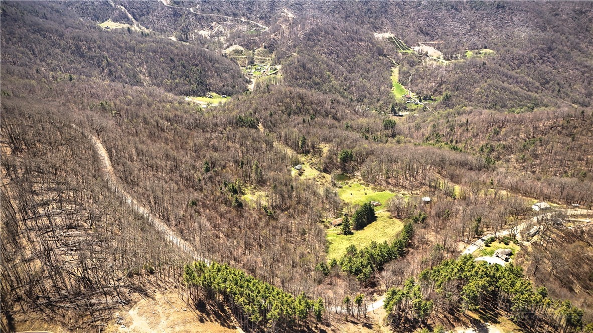 7277 Beech Mountain Road Property Photo 8