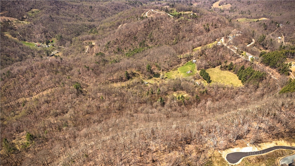 7277 Beech Mountain Road Property Photo 10