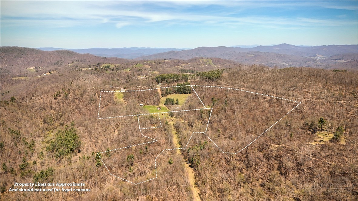 7277 Beech Mountain Road Property Photo 14