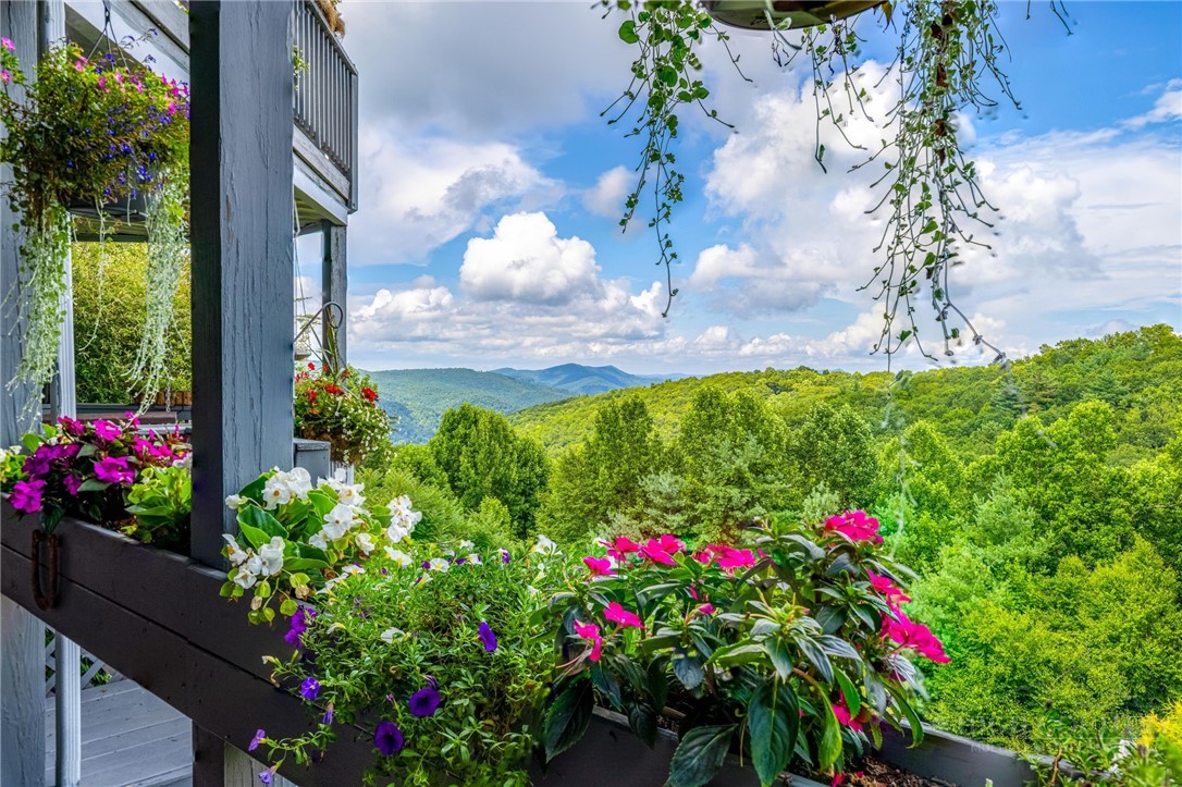 50 Mitchell River Ridge Property Photo 38