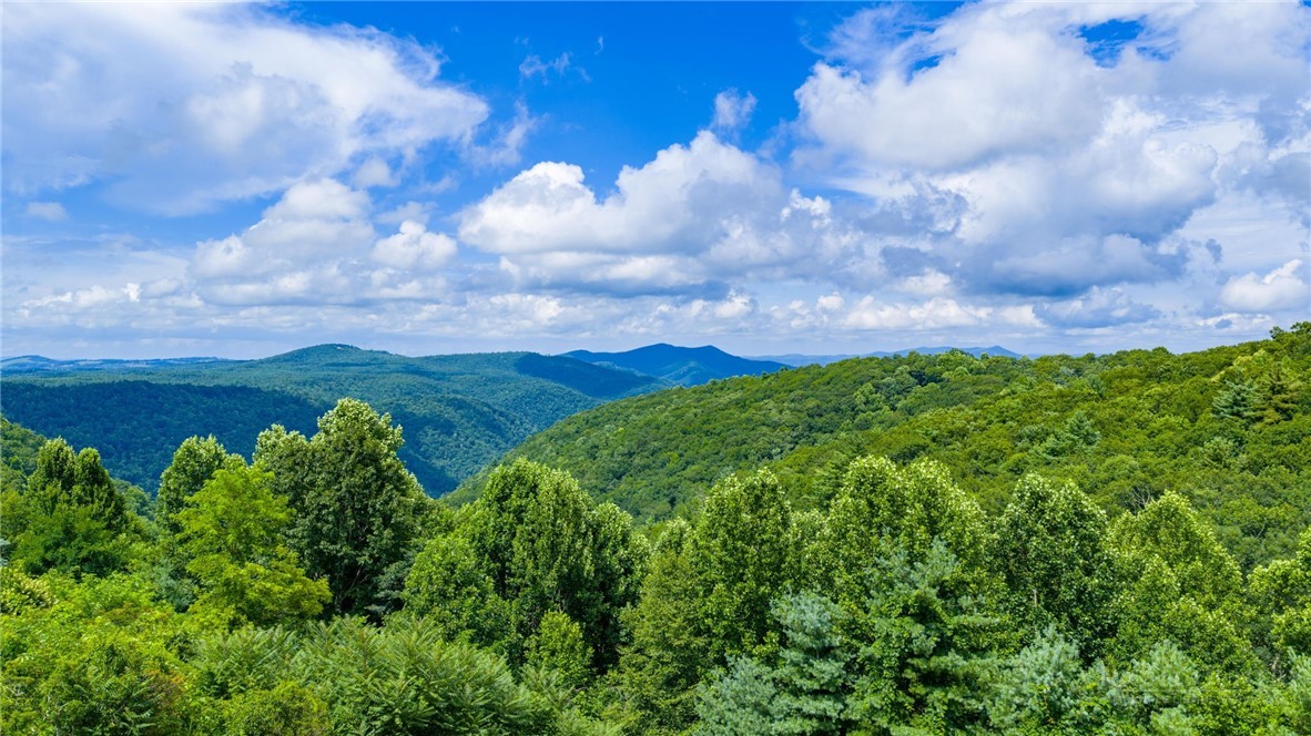 50 Mitchell River Ridge Property Photo 39