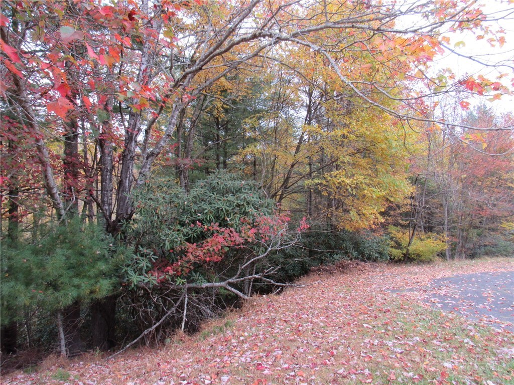 Lot 124 Blue Ridge View Property Photo 1