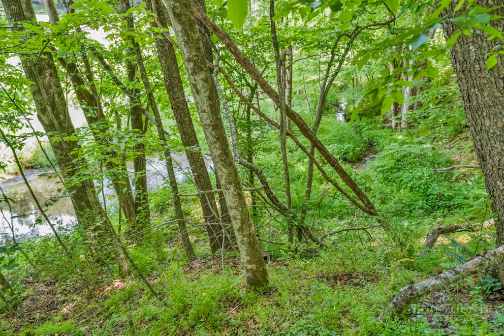 Lot 23/24 Cristina Lane Property Photo 19