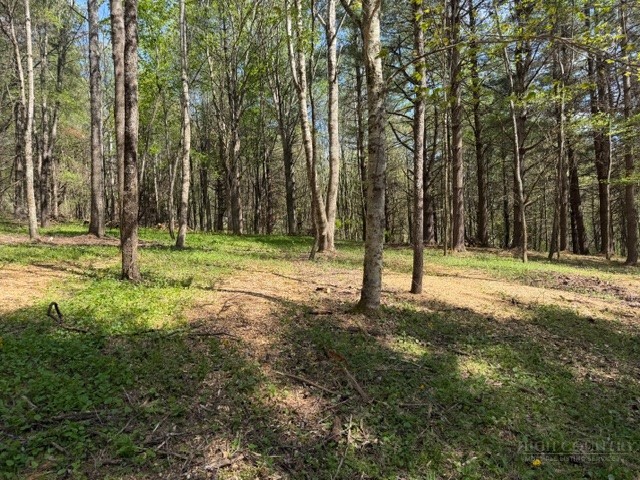 Tbd (1.014 Acre) Crestview Drive West Property Photo 1