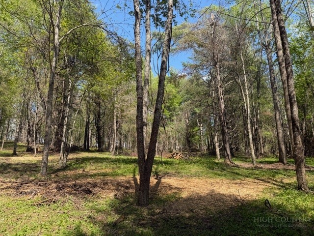 Tbd (1.014 Acre) Crestview Drive West Property Photo 2