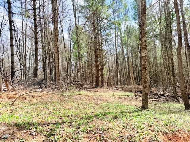 Tbd (1.014 Acre) Crestview Drive West Property Photo 3