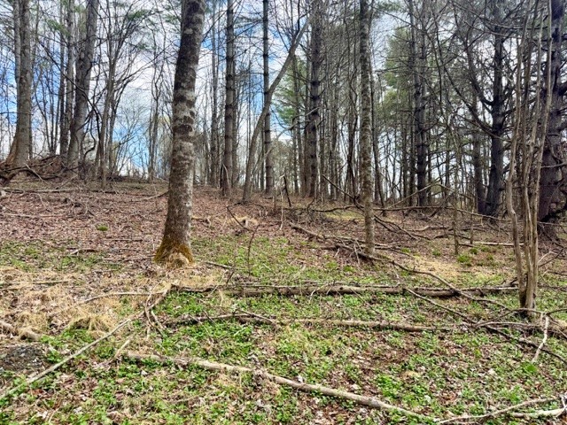 Tbd (1.014 Acre) Crestview Drive West Property Photo 4