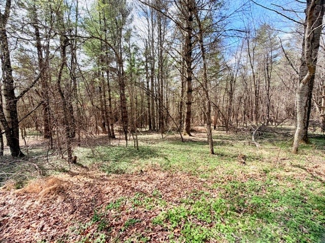 Tbd (1.014 Acre) Crestview Drive West Property Photo 5