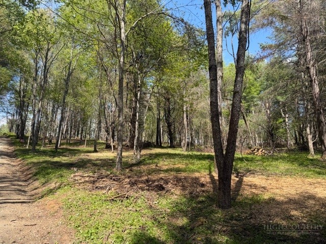 Tbd (1.014 Acre) Crestview Drive West Property Photo 6
