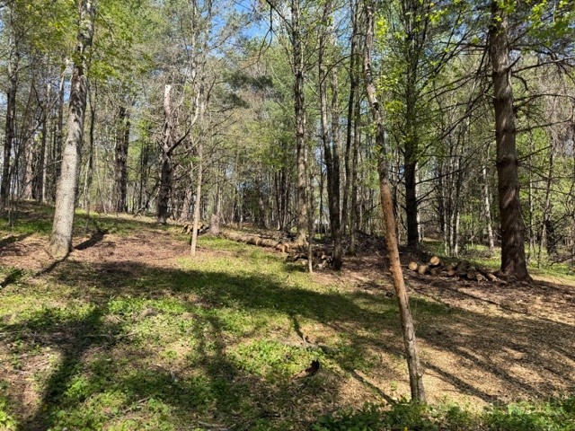 Tbd (1.014 Acre) Crestview Drive West Property Photo 7