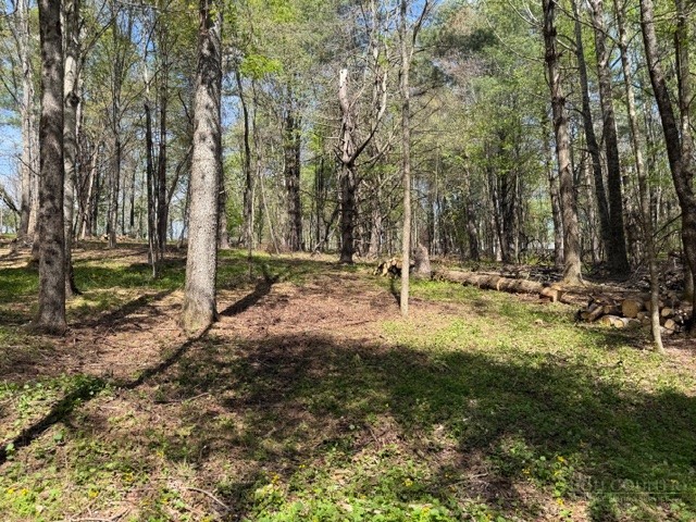 Tbd (1.014 Acre) Crestview Drive West Property Photo 9