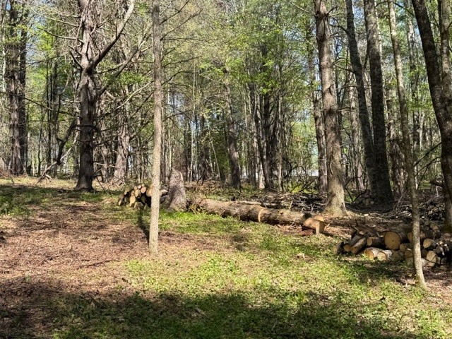 Tbd (1.014 Acre) Crestview Drive West Property Photo 10