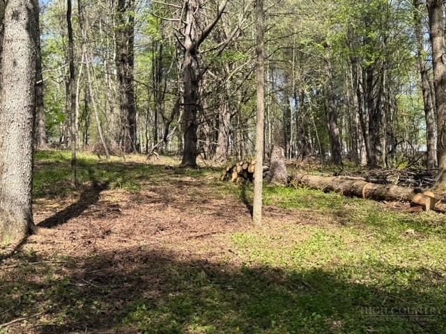 Tbd (1.014 Acre) Crestview Drive West Property Photo 11