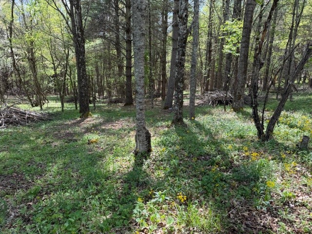 Tbd (0.834) Crestview Drive West Property Photo 1