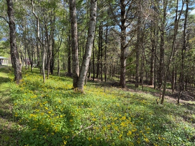 Tbd (1 Acre) Crestview Drive West Property Photo 1