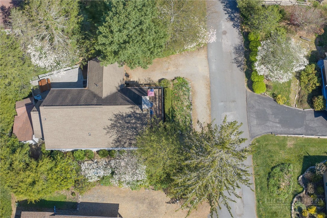 83 Pine Ridge Loop Property Photo 20