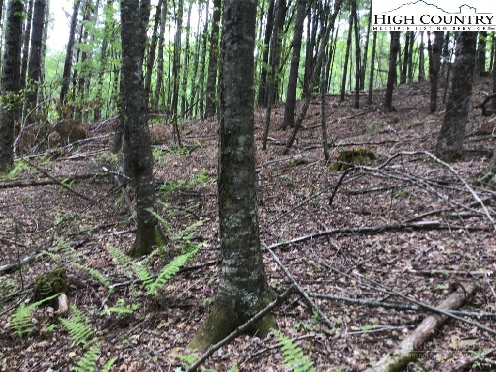 Lot 18 The Peaks Regal Drive Property Photo 7