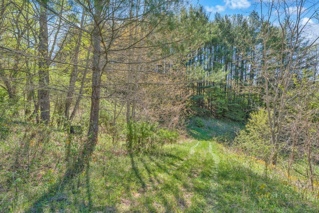 Lot 7 Paradise Valley Estates Property Photo 1