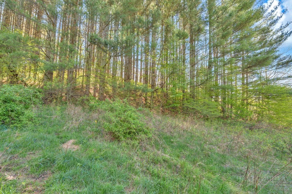 Lot 7 Paradise Valley Estates Property Photo 2