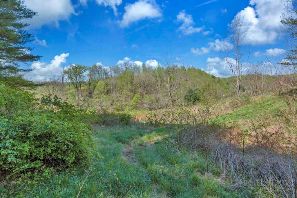 Lot 7 Paradise Valley Estates Property Photo 3
