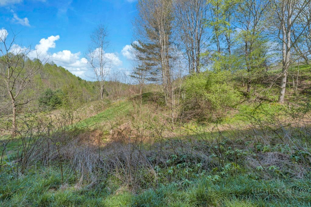 Lot 7 Paradise Valley Estates Property Photo 4